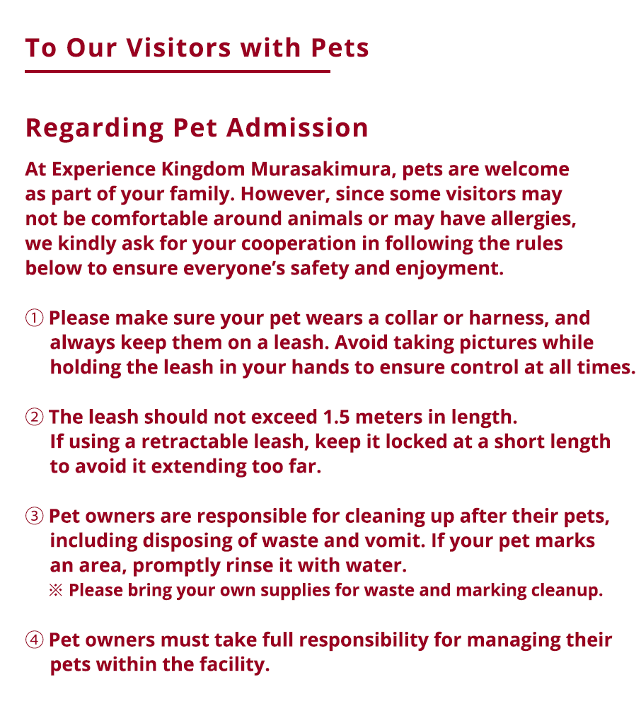 Ryukyu Lantern Festival2025-2026,To Our Visitors with Pets